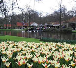 Ogrody Keukenhof
