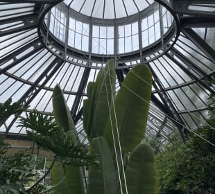 Botanischer Garten Amsterdam