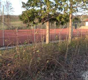Tennisplätze Raidwangen