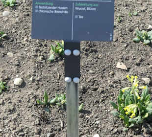 Hinweistafel zum eingepflanzten Kraut