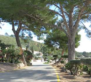 Insel Alcanada