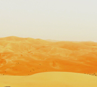 Sanddünen in der Rub al-Khali Wüste - Liwa Oase