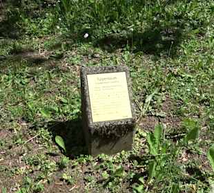 Rosengarten Nördlingen