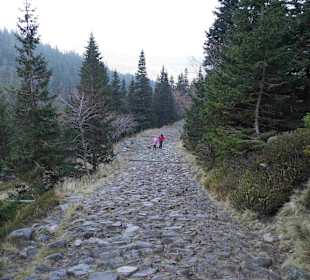 Riesengebirge/Karkonosze