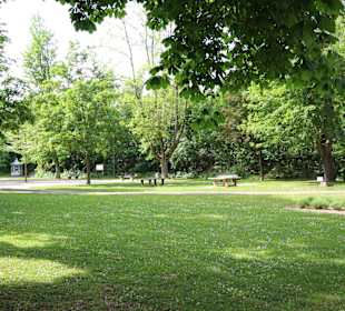 Licht und Schatten im Kurpark