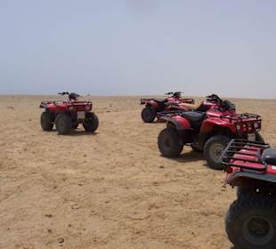 Quad-Tour