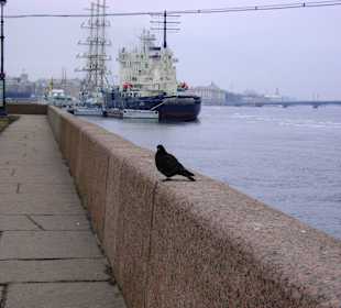 Rzeka Newa