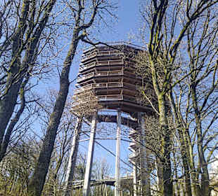Baumwipfelpfad Saarschleife