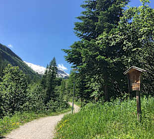 Wandern Hintertux/Zillertal