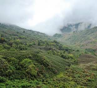 Teehaus Margaret's Deck 