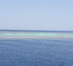 Panorama reef