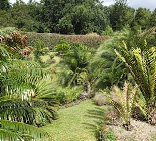 Park Terra Nostra