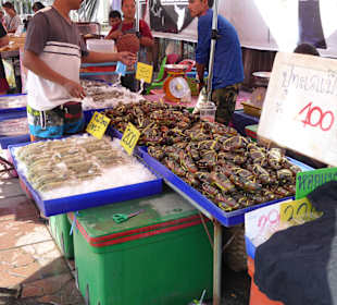 Große Auswahl von frischem aus dem Meer