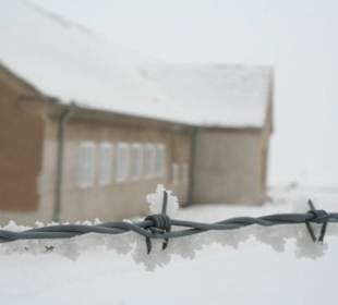 Winter in Buchenwald