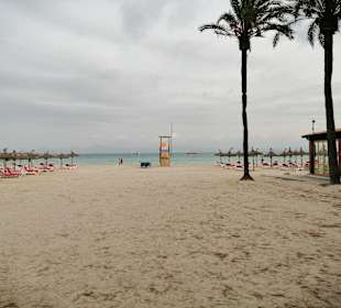 Strand Alcudia