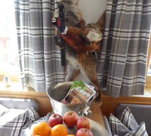 Gasthaus Moosegg - Gastzimmer, Fuchs