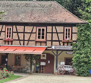 Vom Schloss zum Cafe