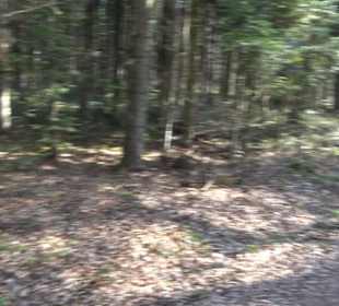 Wanderung Florianrunde