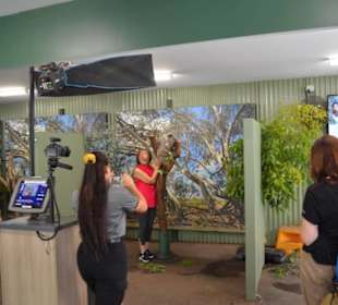 Koala Foto Station 