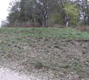 Naturschutzgebiet Listhof