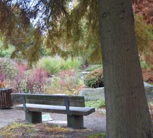 Parkanlage Planten un Blomen