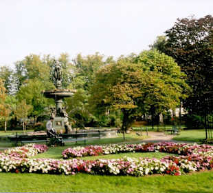 Blumenarrangement am Brunnen