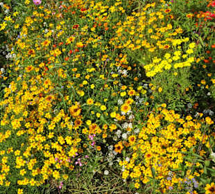 Eindrücke aus dem Harburger Stadtpark