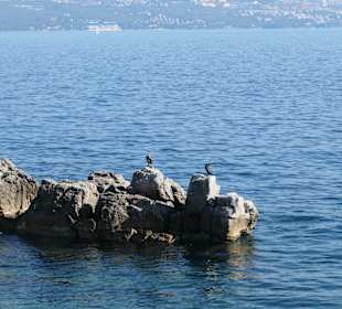 Bei der Lungomare (Strandpromenade) bei Lovran