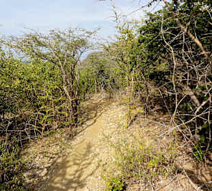 Eindrücke vom Rundgang über den Trail