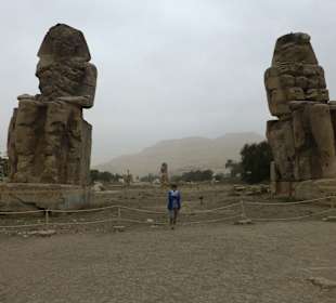 Tagesausflug nach Luxor ab El Quseir	