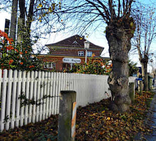 Bäderbahn Molli Kühlungsborn