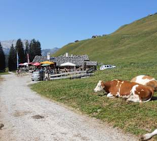 Auf der Kallbrunnalm