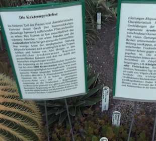 Botanischer Garten