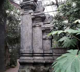 Weltvogelpark Walsrode