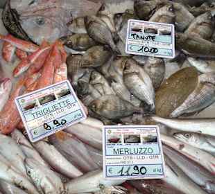 Die Fischverkaufshalle im Hafen von Alghero