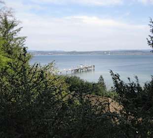 Blick auf den Bodensee