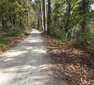 Premiumwanderweg hochgehkeltert Neuffen