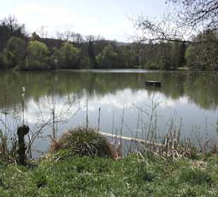 Sport- und Freizeitpark Markwasen