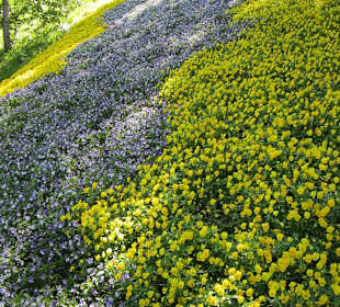 Gärten Schloss Trauttmansdorff in Meran