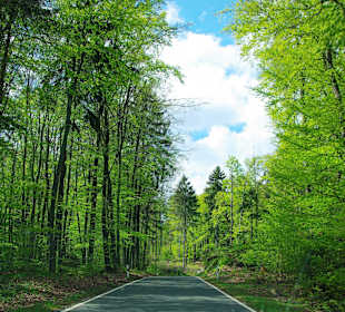 Entlang der romantischen Burgenstraße Fränkischen Schweiz
