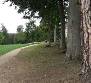 Hochgeträumt Premiumwanderung