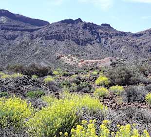 Teide Nationalpark