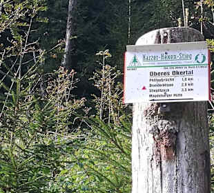Wanderung zur Burgruine Liebenau