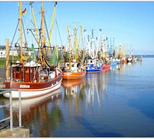 KUTTERHAFEN