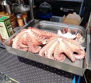 Hafen Palma de Mallorca