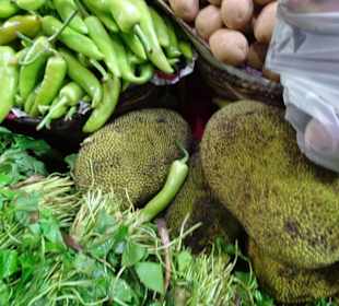 Hochland von Sri Lanka