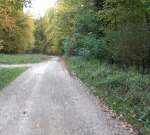 Wanderung Felsen Sankt Johann 