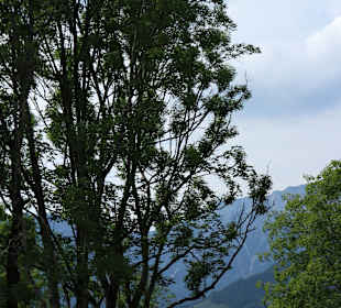 Wandern Berchtesgaden
