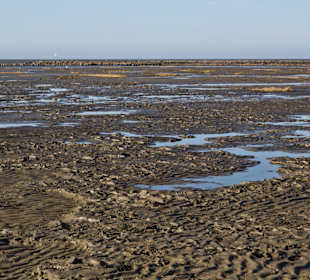 Wattenmeer bei Friedrichskoog-Spitze
