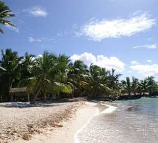 Insel Saona - ein Muss!